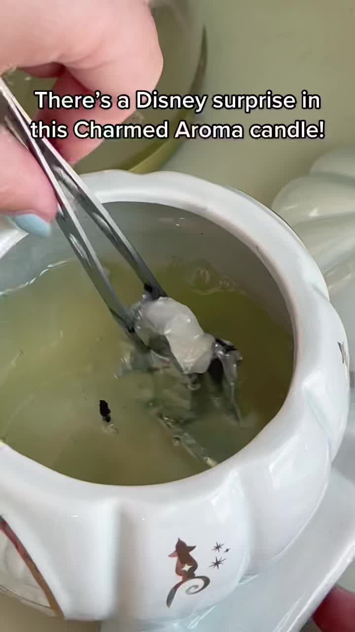 Video post by @snugzmeow on TikTok