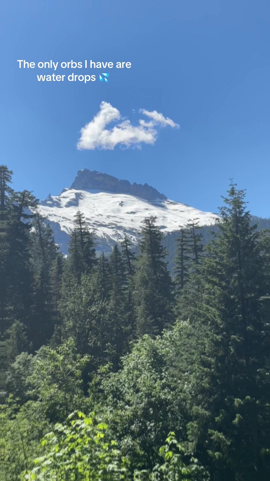 Video post by @amandakl5 on TikTok