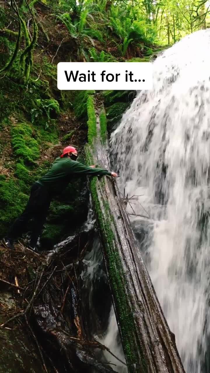 Video post by @brianbosche on TikTok