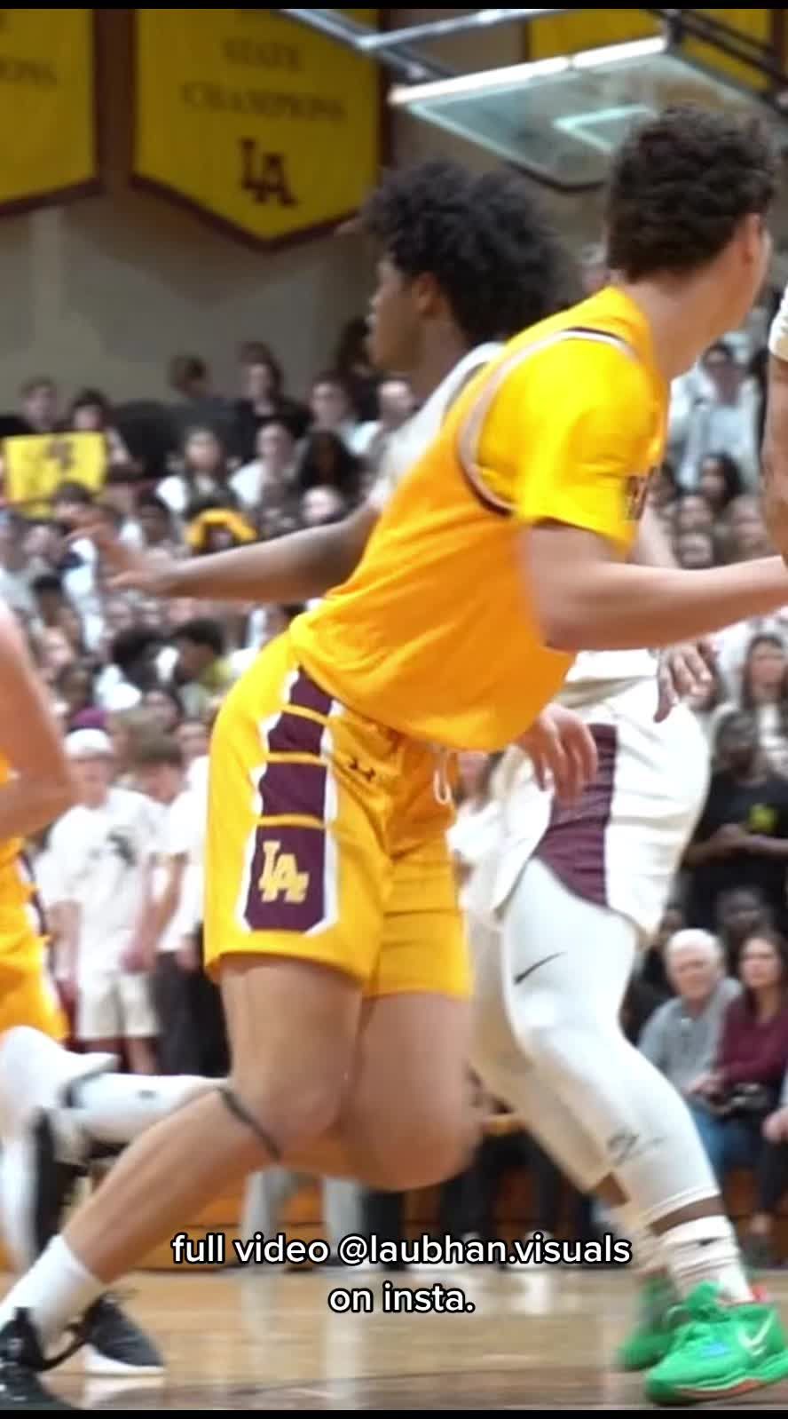 Video post by @laubhanvisuals on TikTok