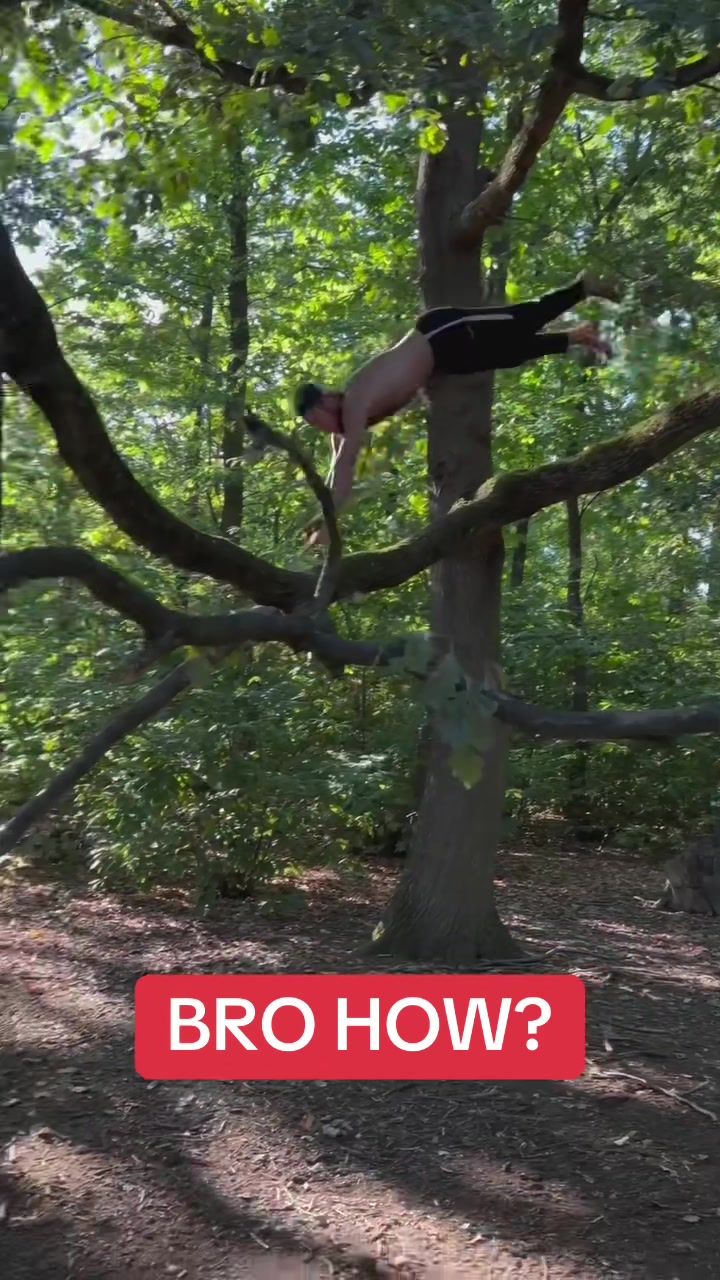 Video post by @whistle on TikTok