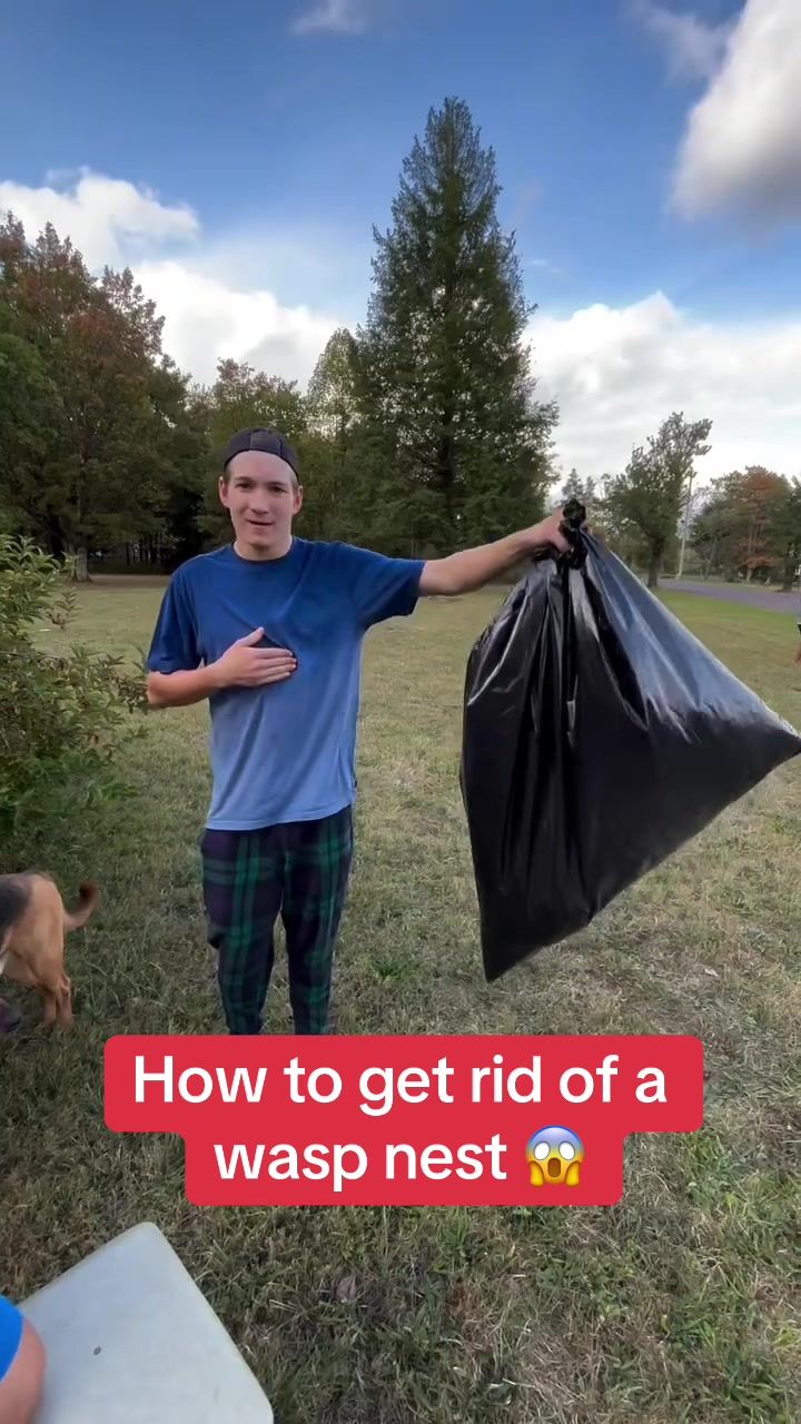 Video post by @whistle on TikTok