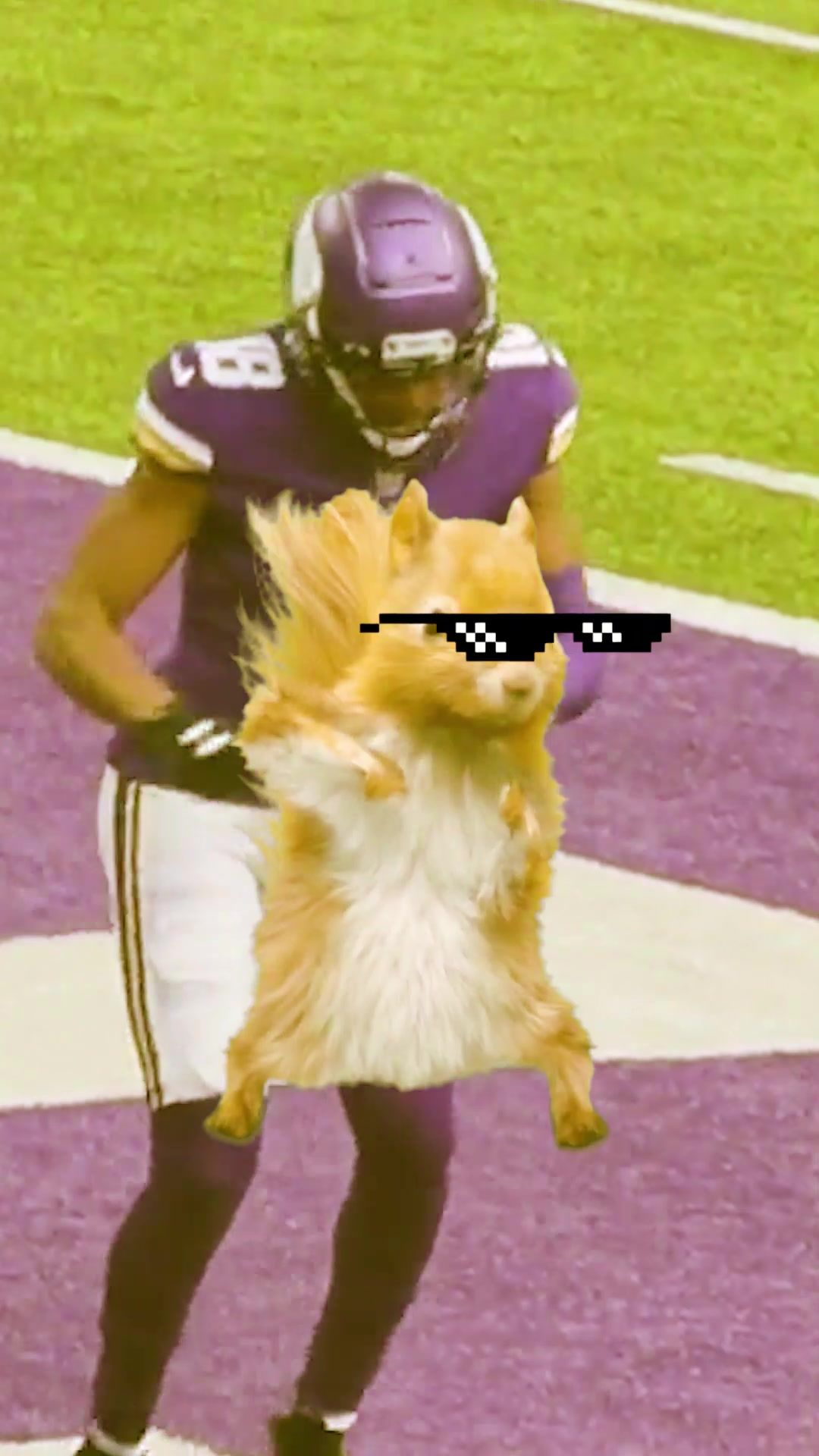 Video post by @lsutigers on TikTok