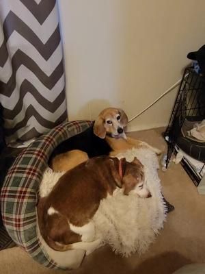 Video post by @ on TikTok