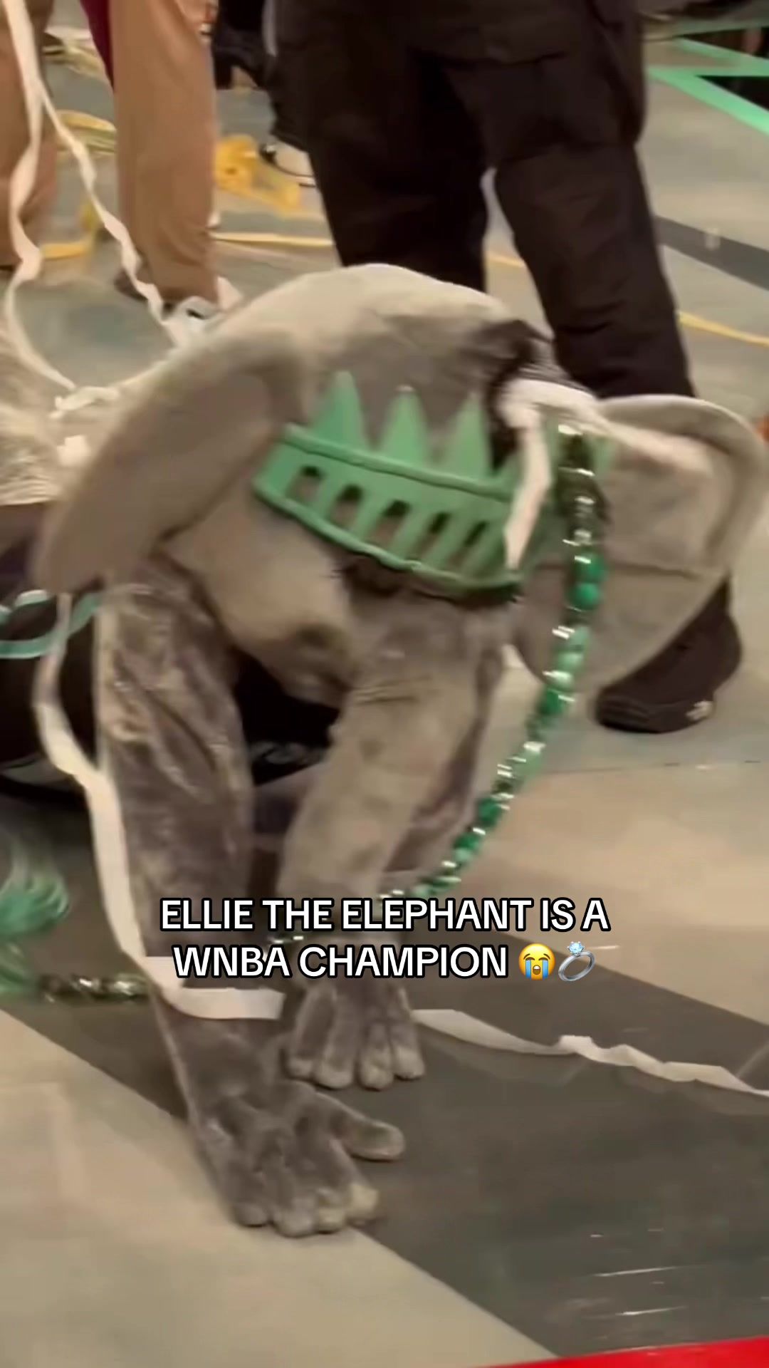 Video post by @overtimewbb on TikTok