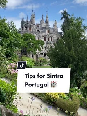 Video post by @katlyn.stevens on TikTok