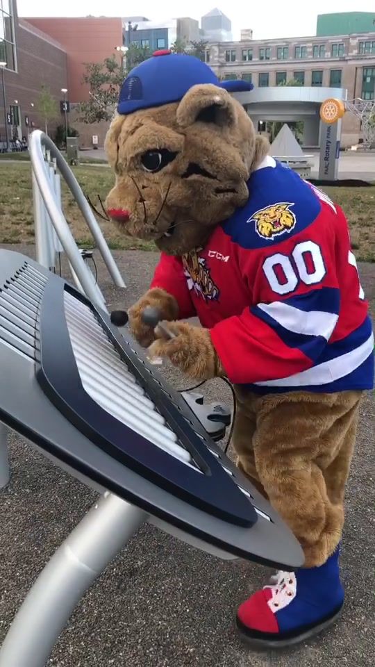 Video post by @monctonwildcats on TikTok