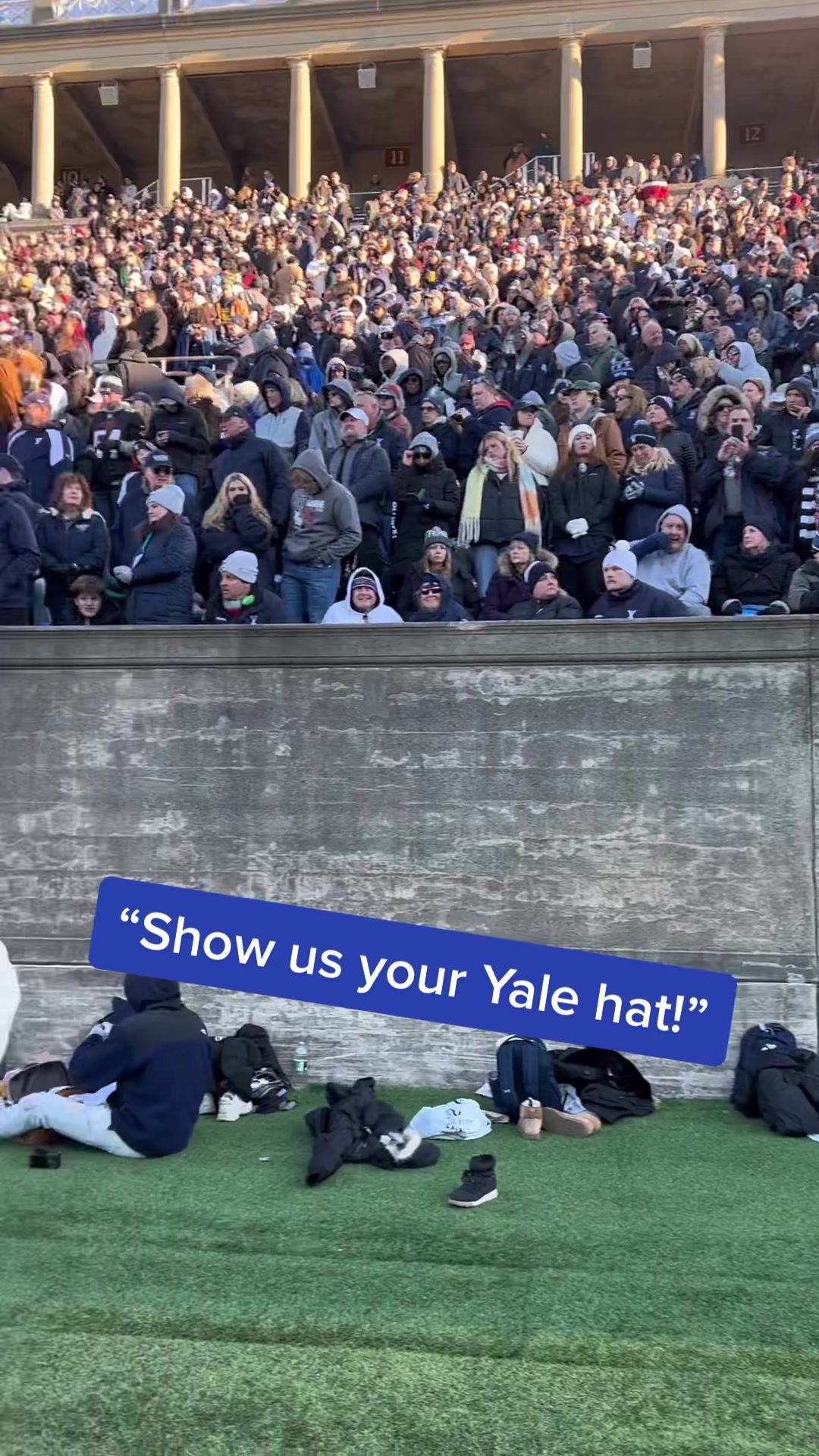 Video post by @yaleathletics on TikTok