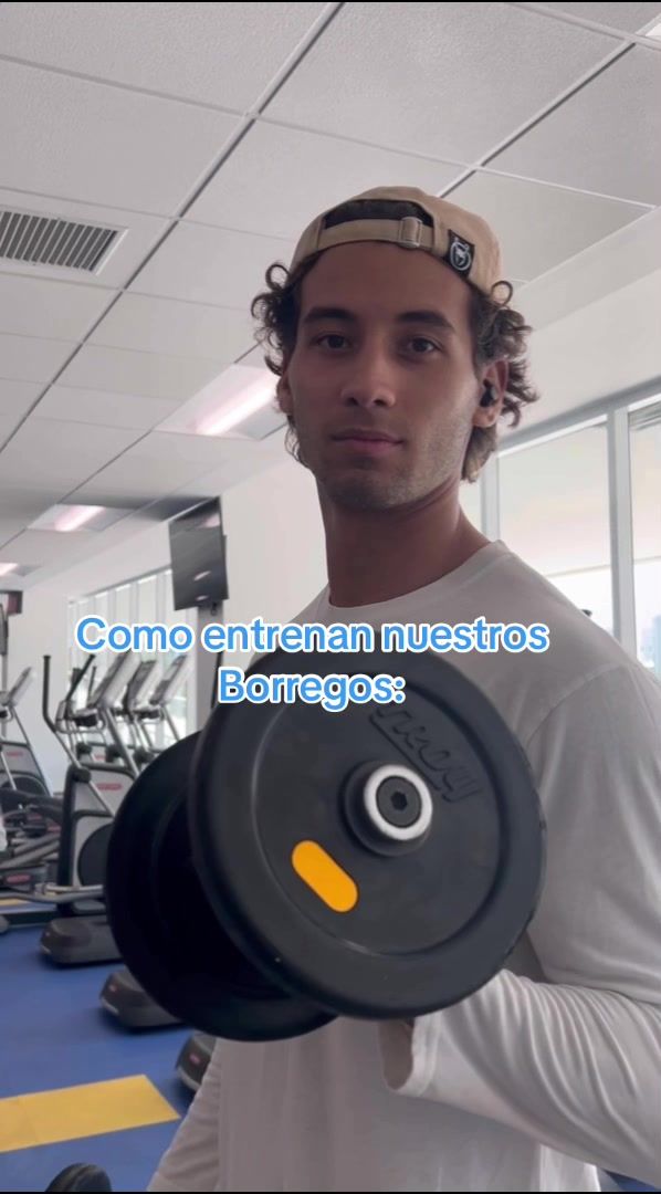 Video post by @borregostec on TikTok