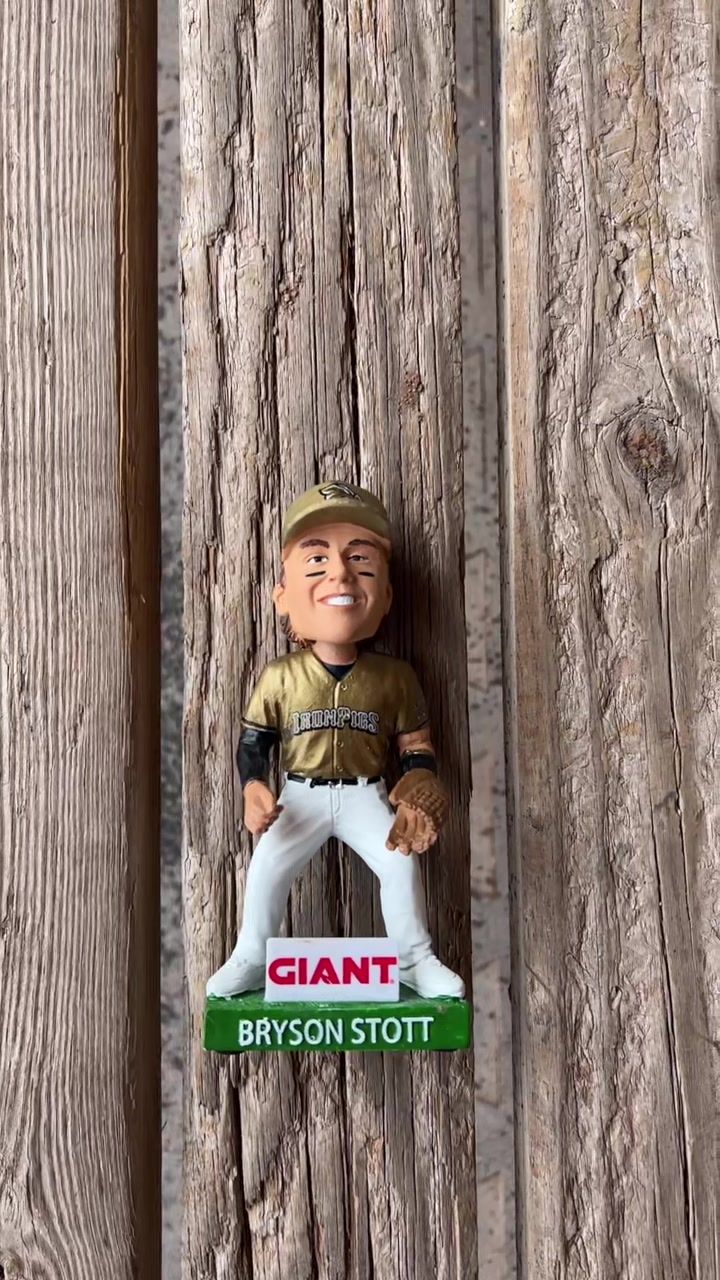 Video post by @ironpigs on TikTok