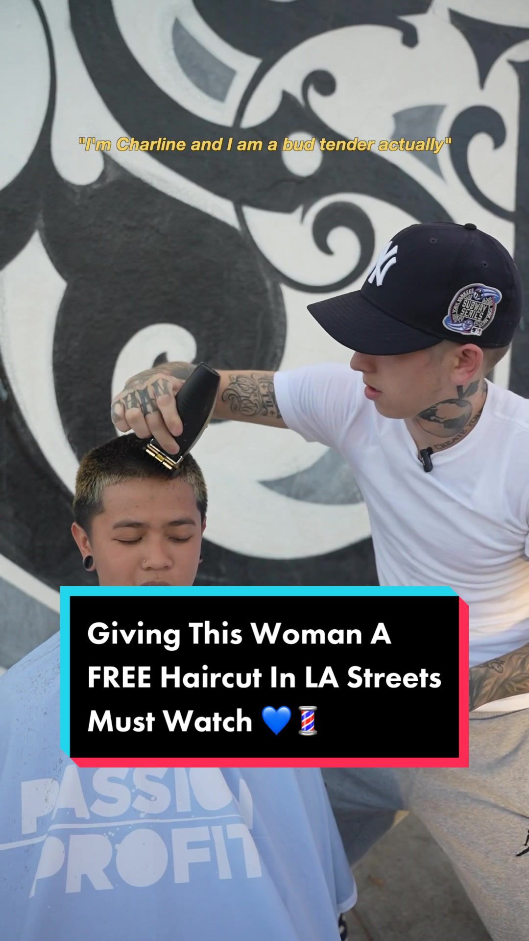 Video post by @vicblends on TikTok