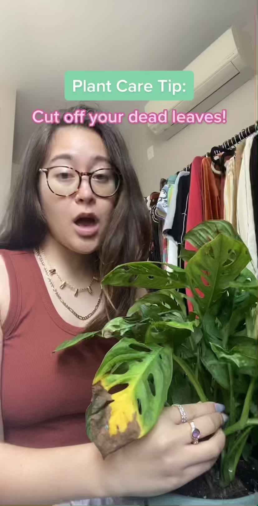 Video post by @miraclegro on TikTok
