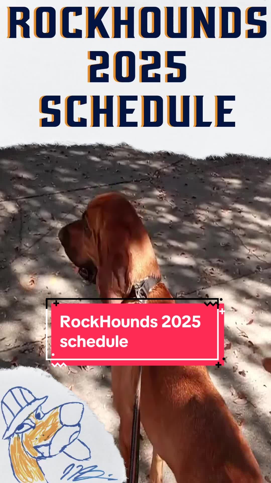 Video post by @midlandrockhounds on TikTok