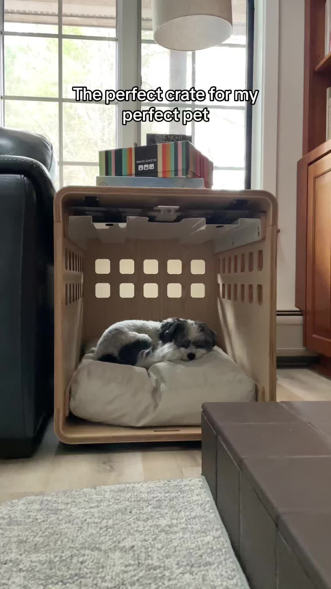 Video post by @fablepets on TikTok