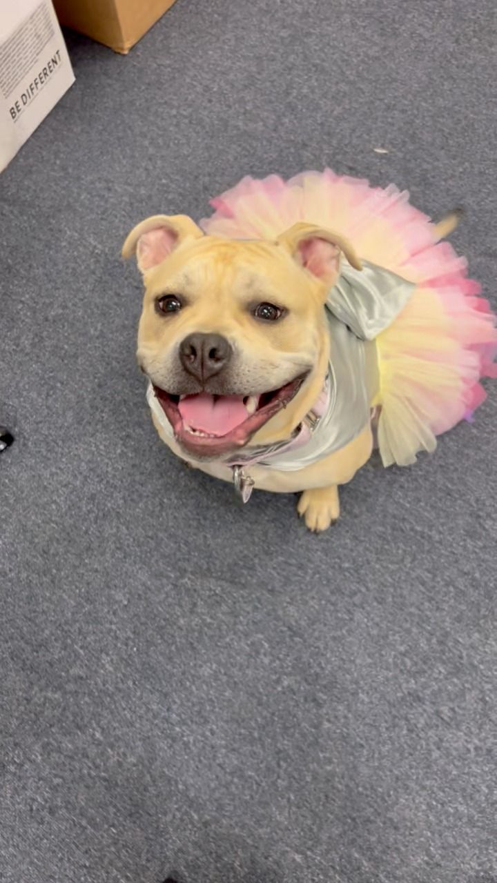 Video post by @LiveLikeRoo on Facebook