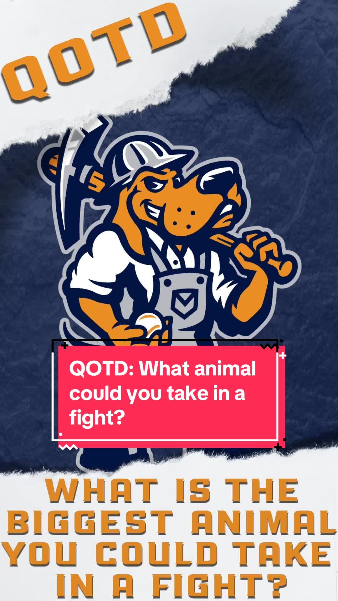 Video post by @midlandrockhounds on TikTok