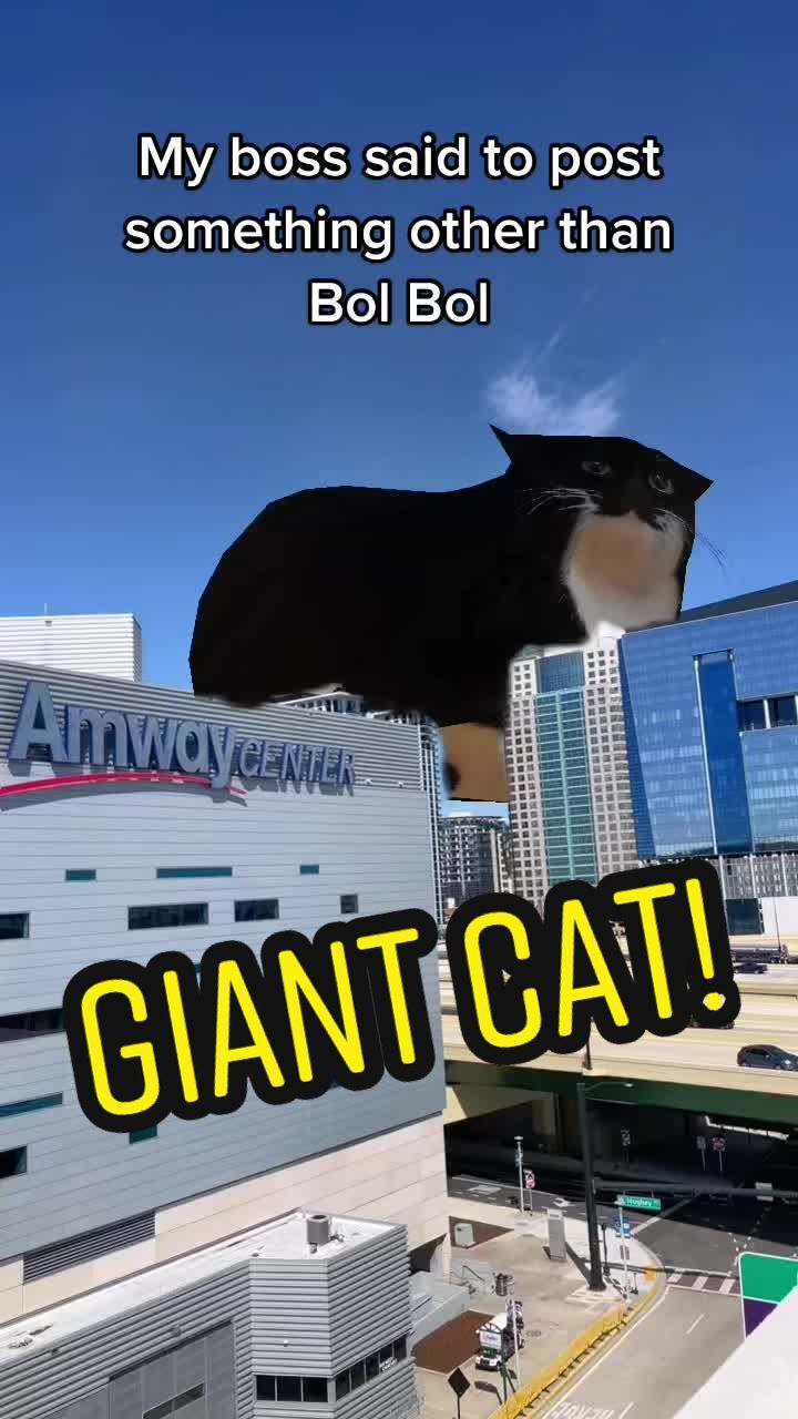 Video post by @orlandomagic on TikTok