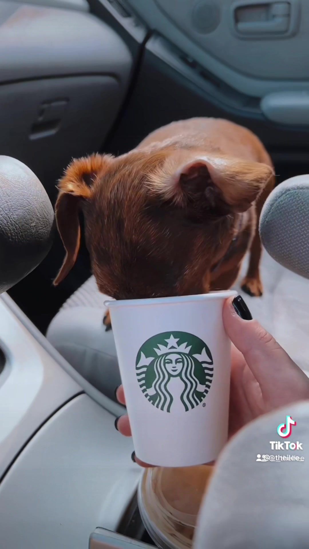 Video post by @_theilee_ on TikTok