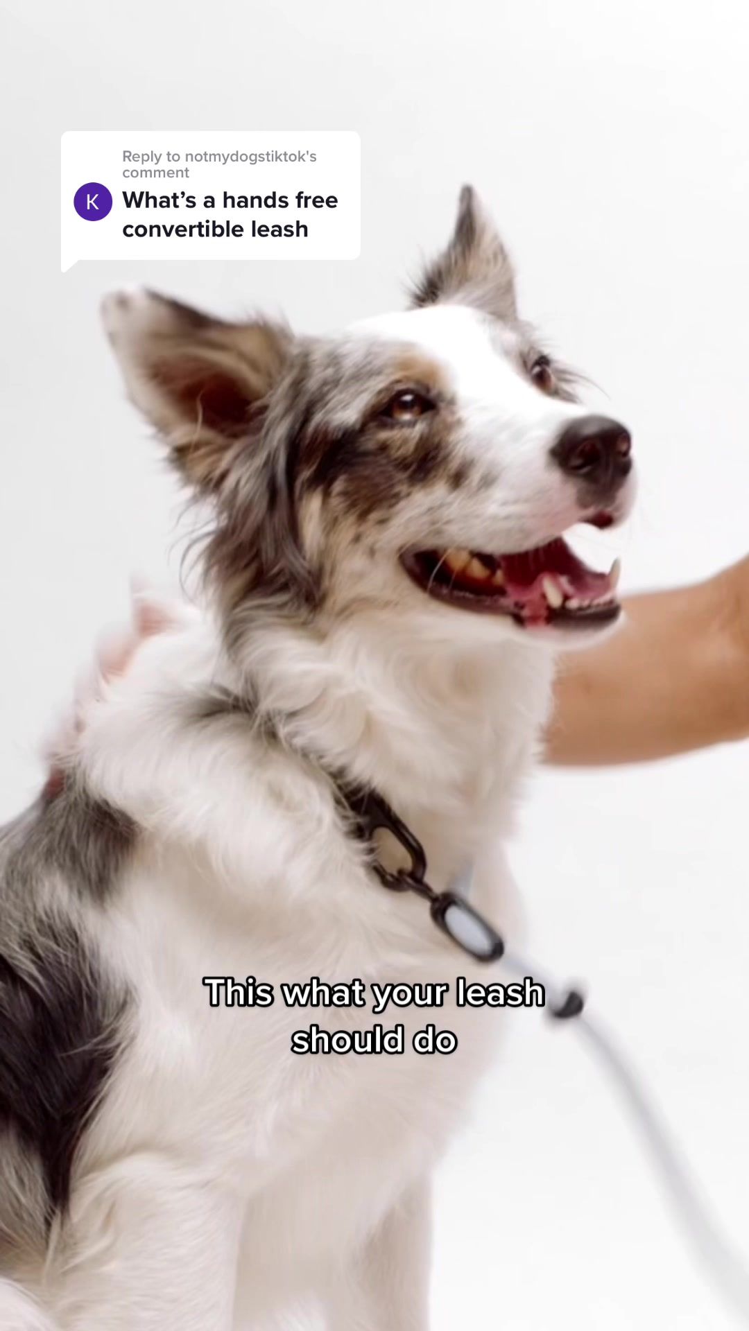 Video post by @fablepets on TikTok