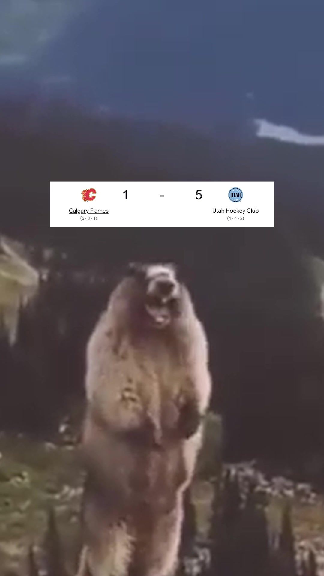 Video post by @utahmammoth on TikTok