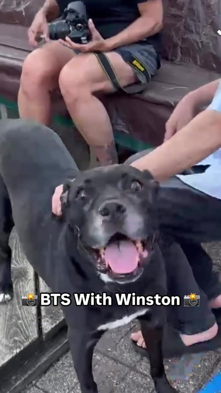 Video post by @livelikeroofoundation on TikTok