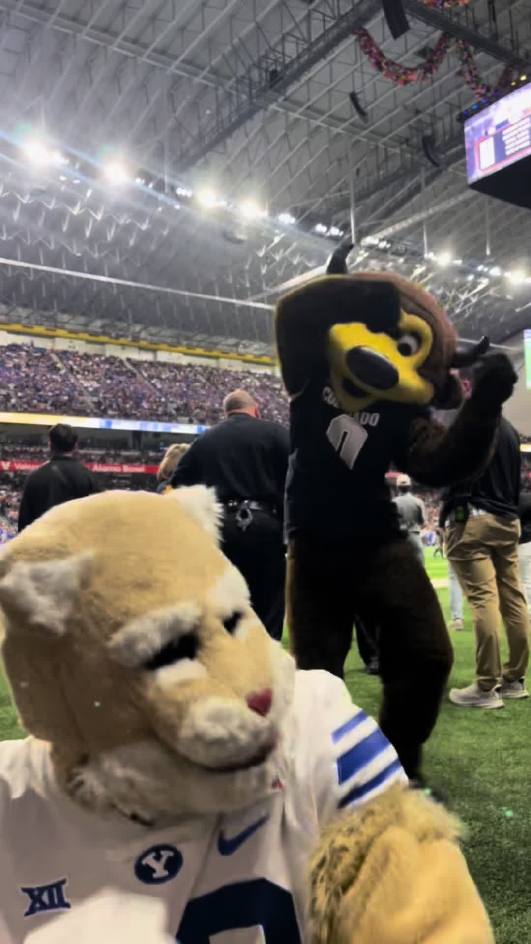 Video post by @cosmo_cougar on TikTok