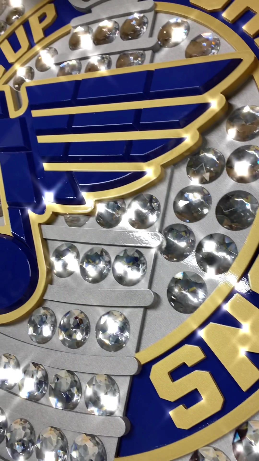 Video post by @stlouisblues on TikTok