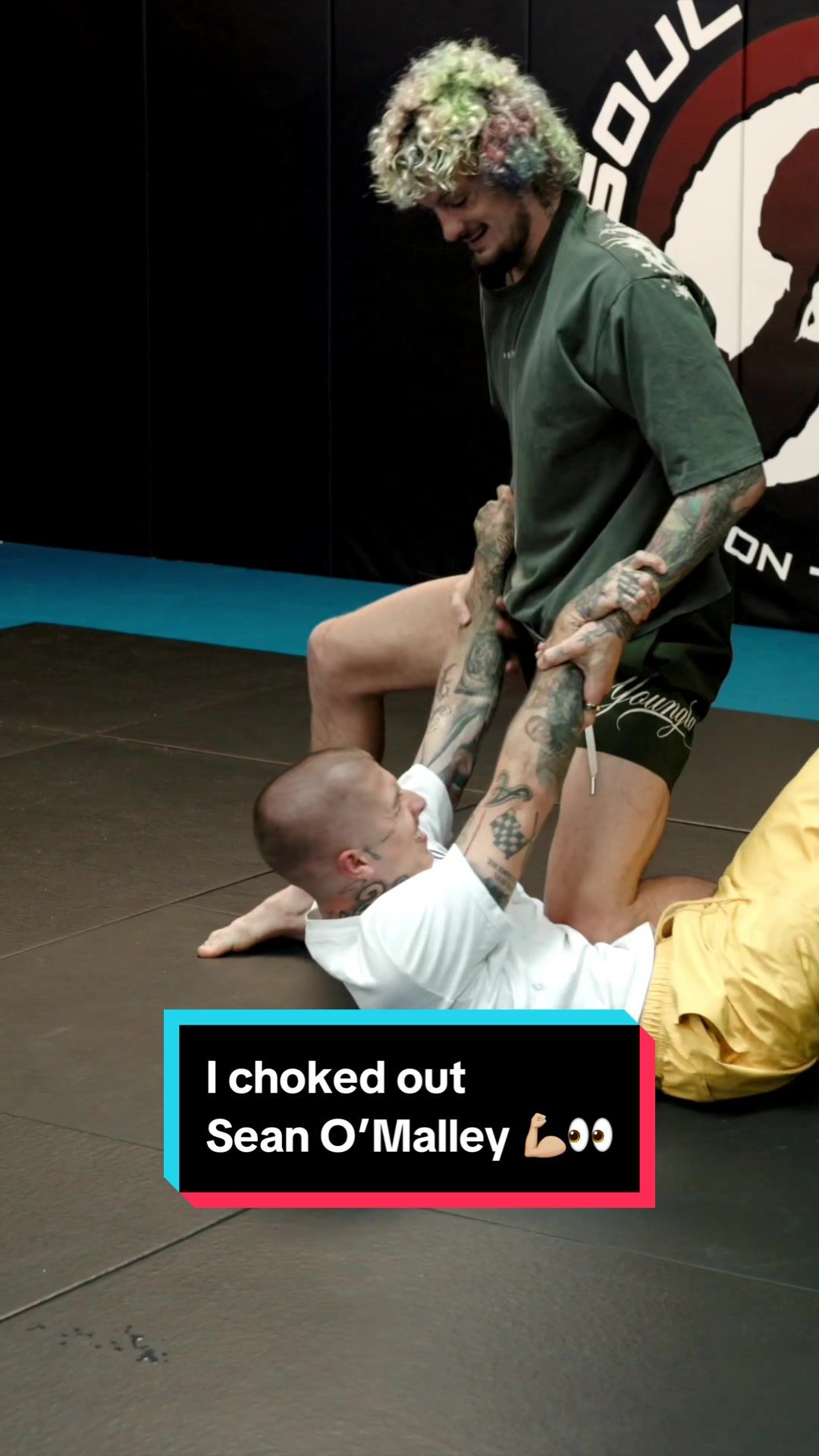 Video post by @vicblends on TikTok