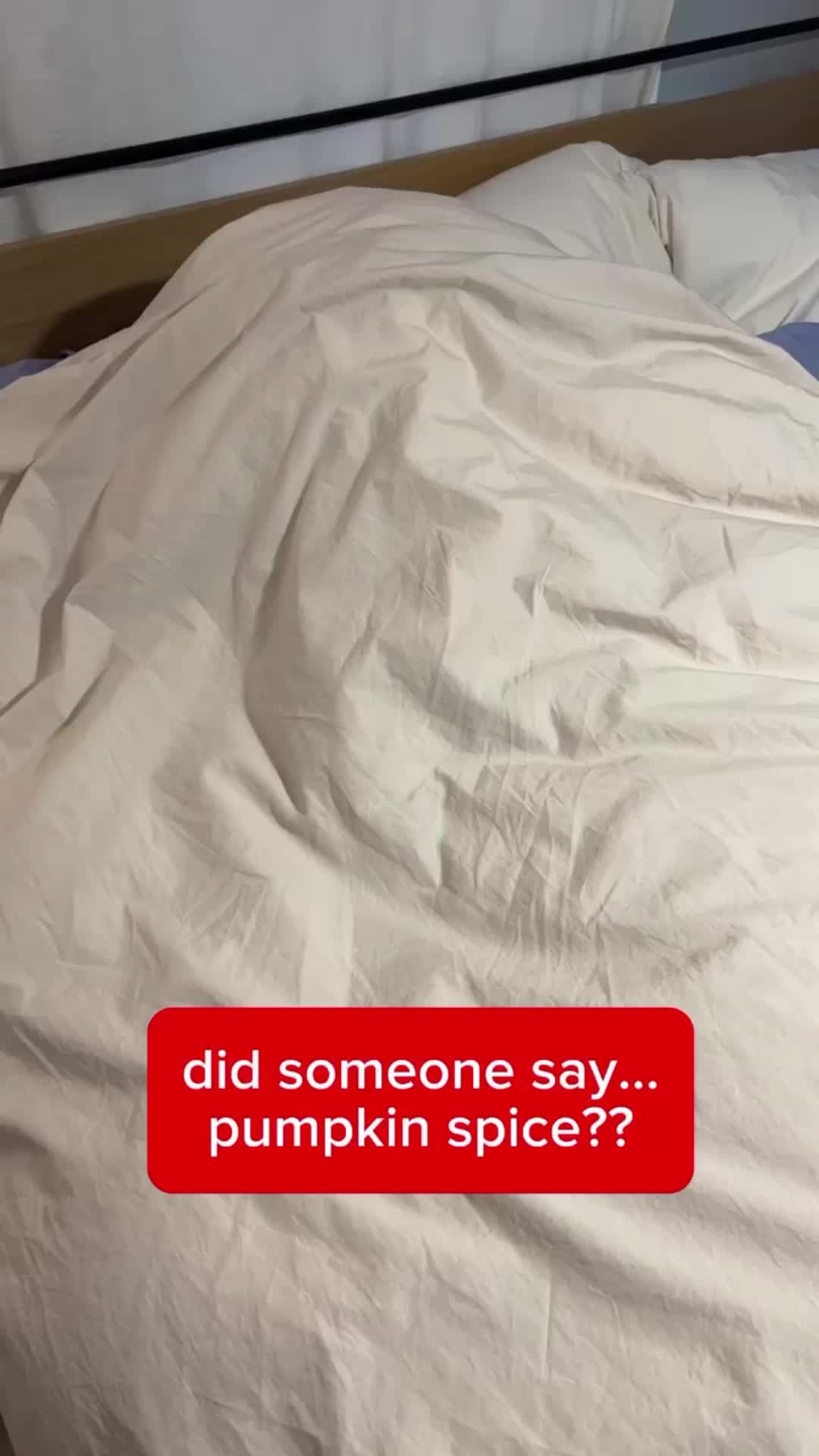 Video post by @sheetz on TikTok