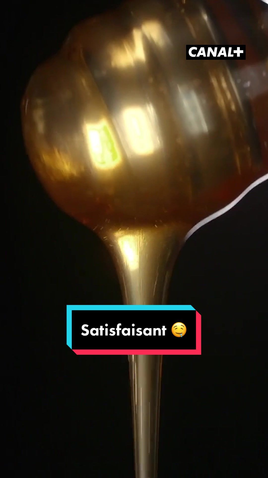 Video post by @canalplus on TikTok