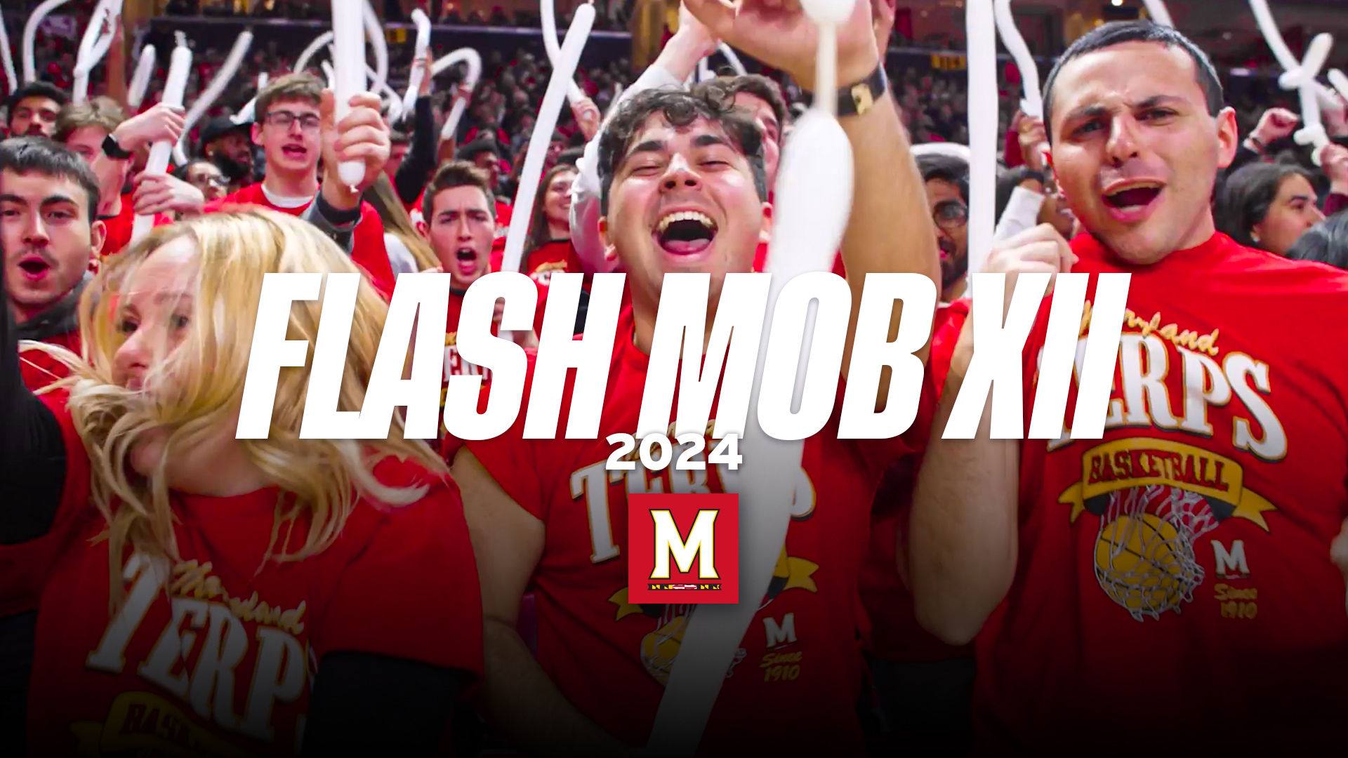 Image post by @MarylandTerrapins on Facebook