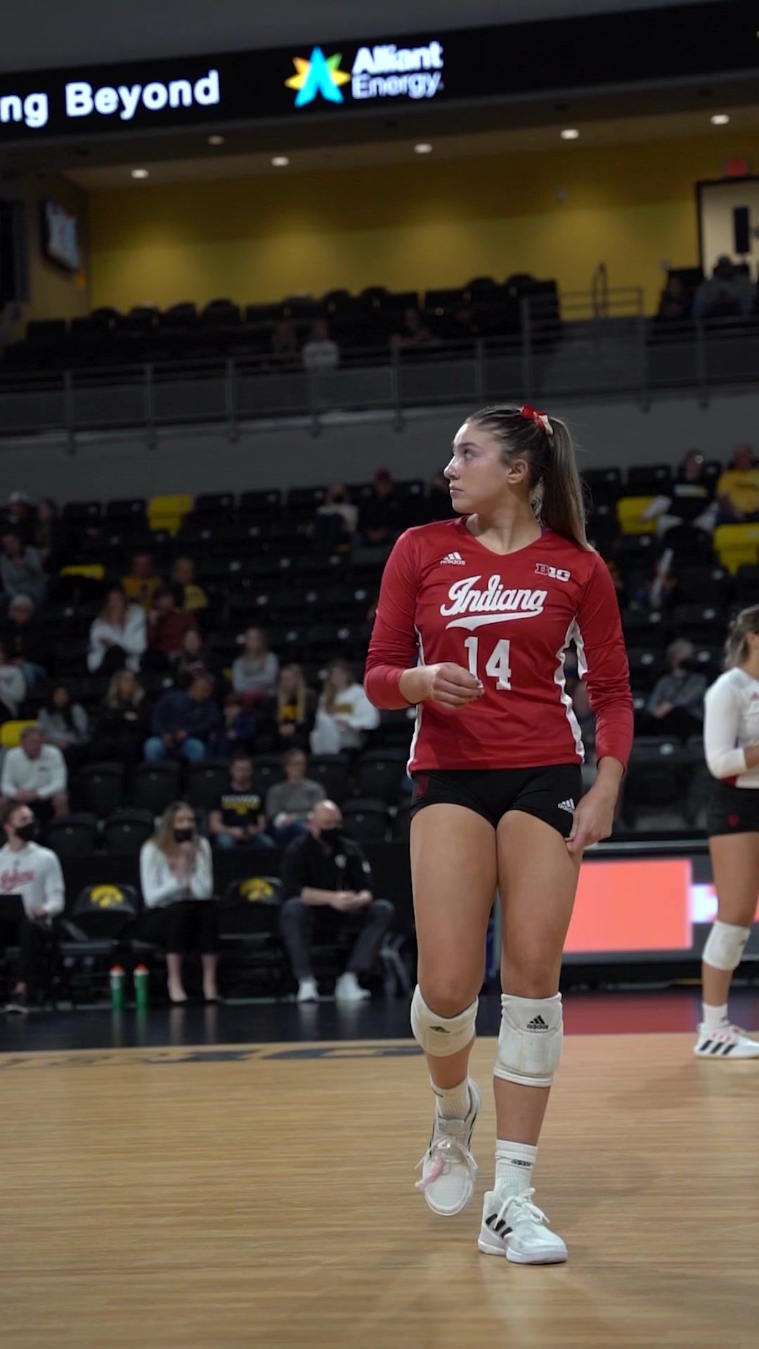 Video post by @indianavb on TikTok