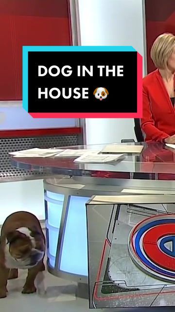 Video post by @nhl on TikTok