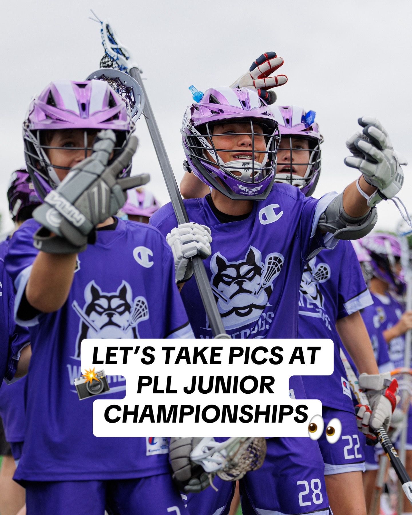 Image post by @pll on TikTok