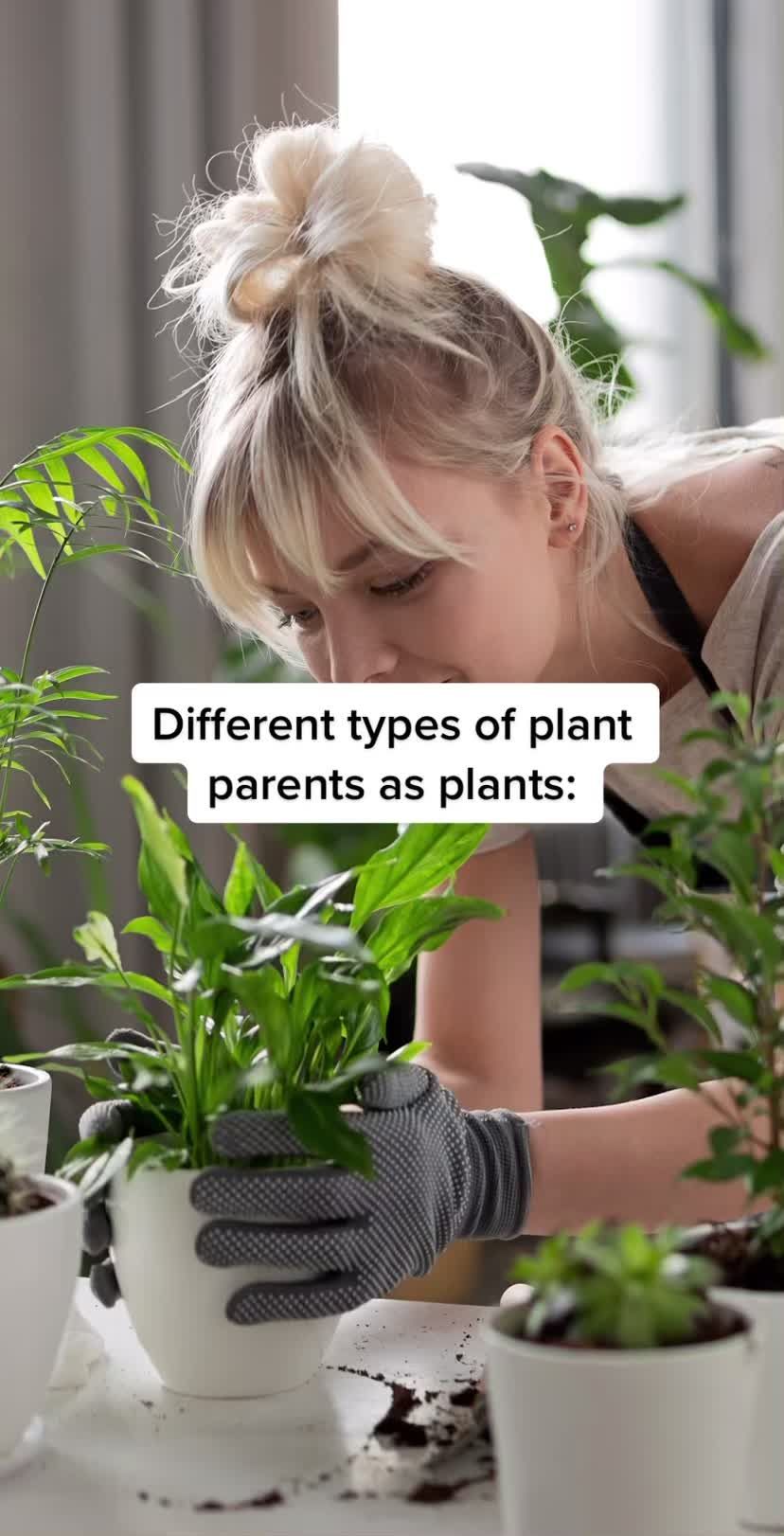 Video post by @miraclegro on TikTok