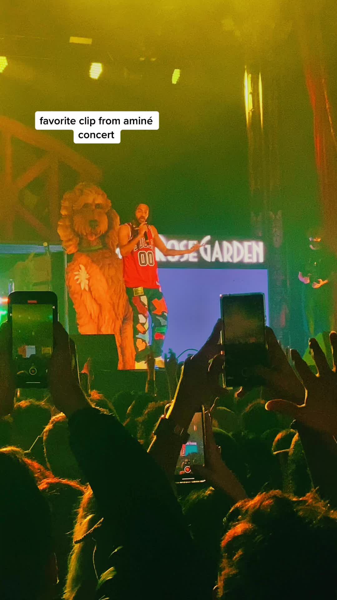 Video post by @riz.com on TikTok