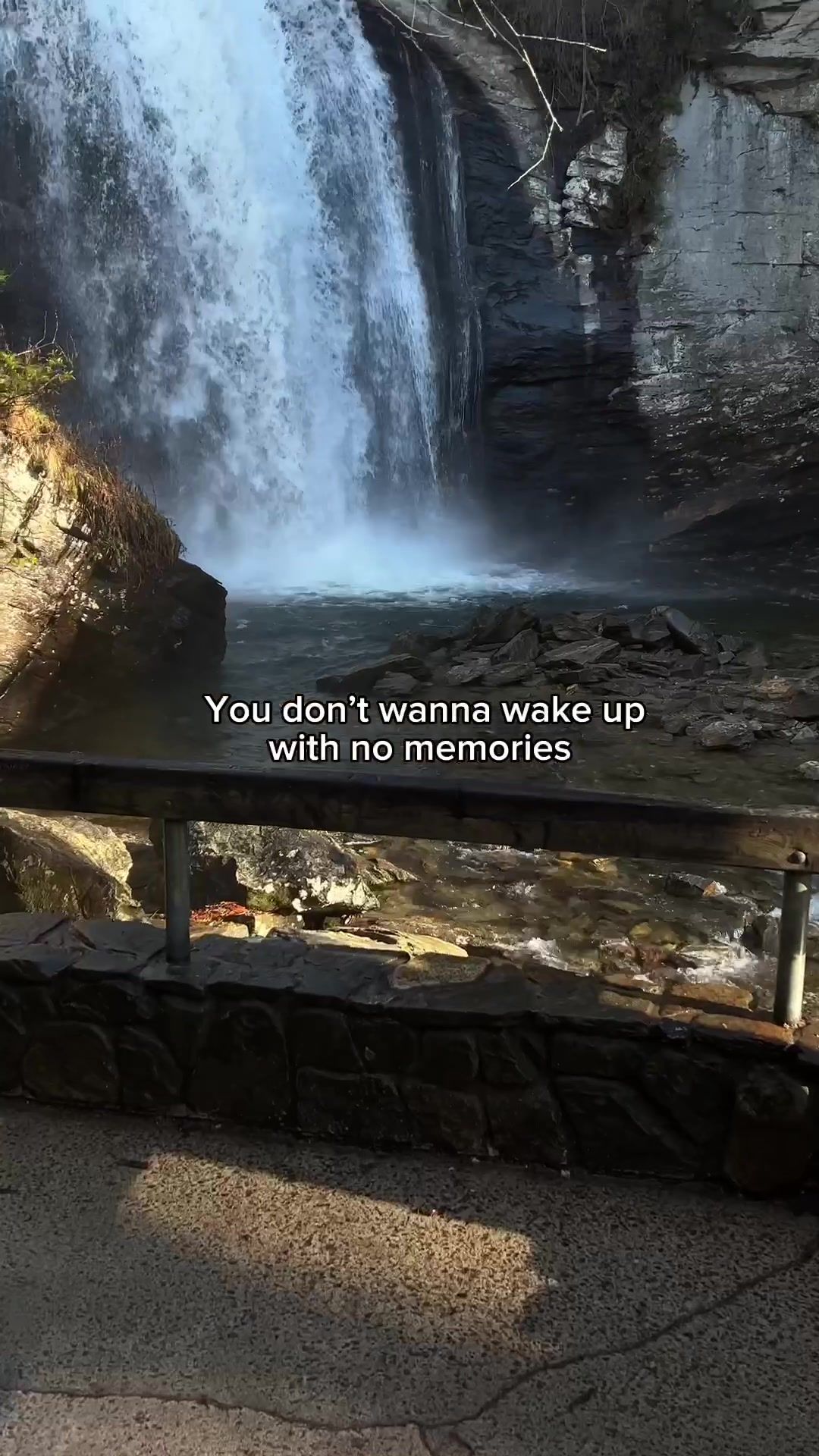 Video post by @visitasheville on TikTok