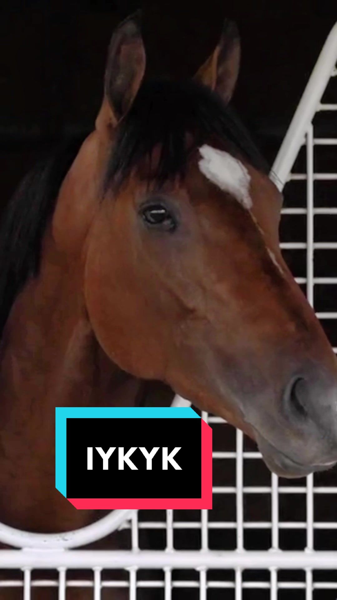 Video post by @kentuckyderby on TikTok