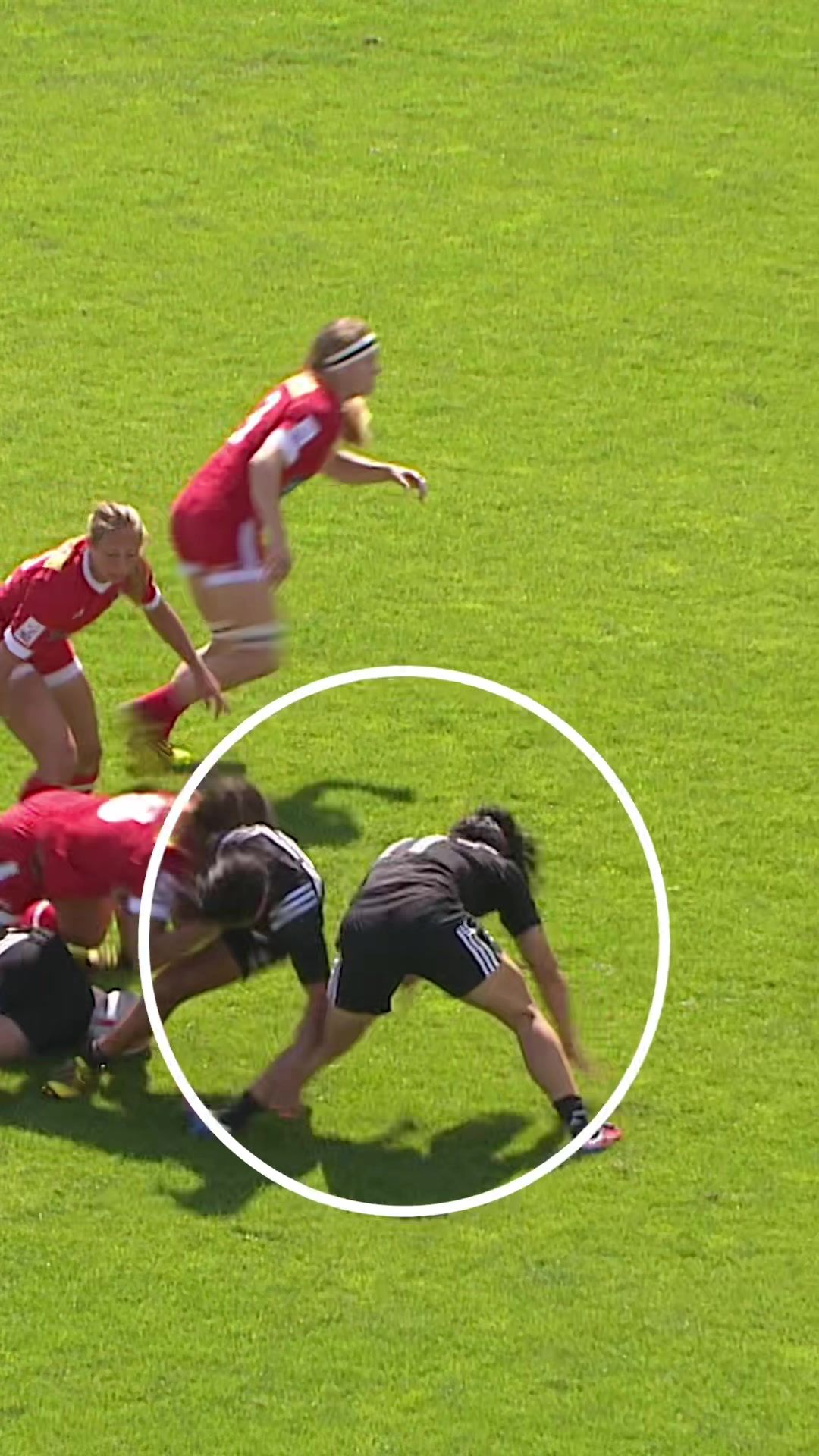 Video post by @rugbypass on TikTok