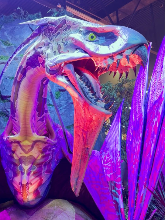 Video post by @avatar on TikTok