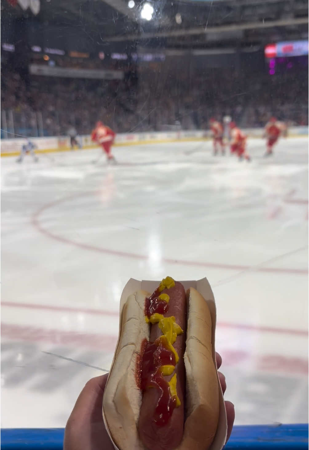 Video post by @bluefcuarena on TikTok