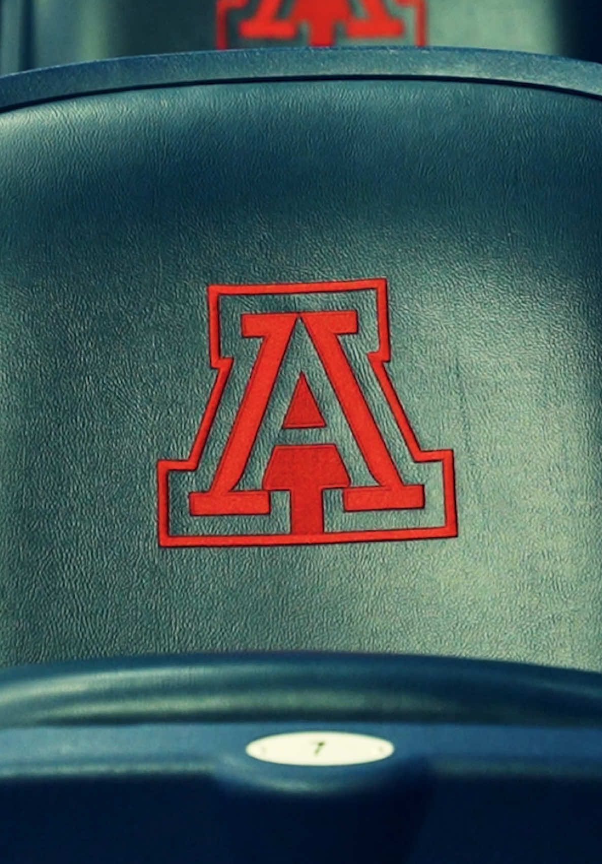 Video post by @tanner.jackson.media on TikTok