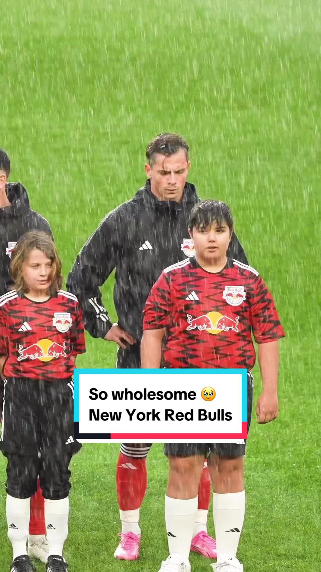 Video post by @mls on TikTok