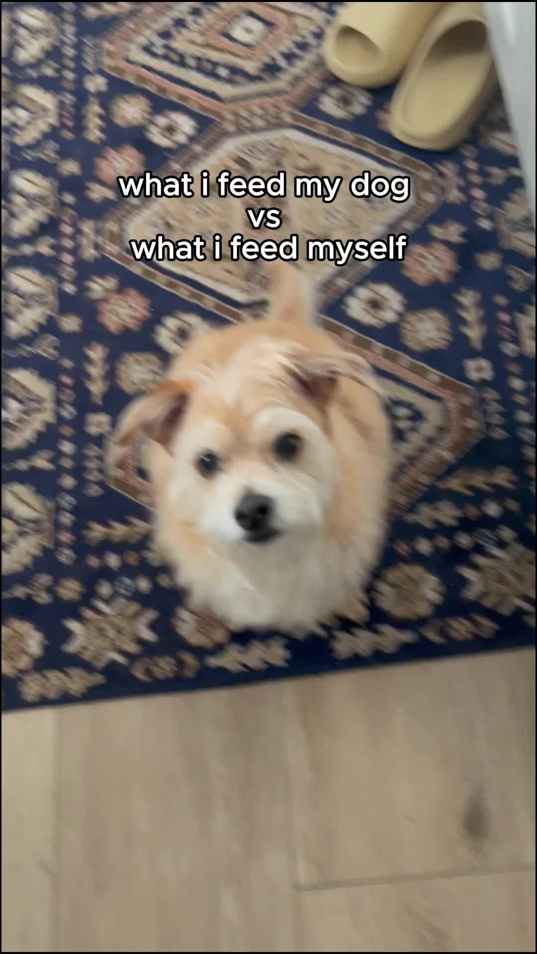 Video post by @visa on TikTok