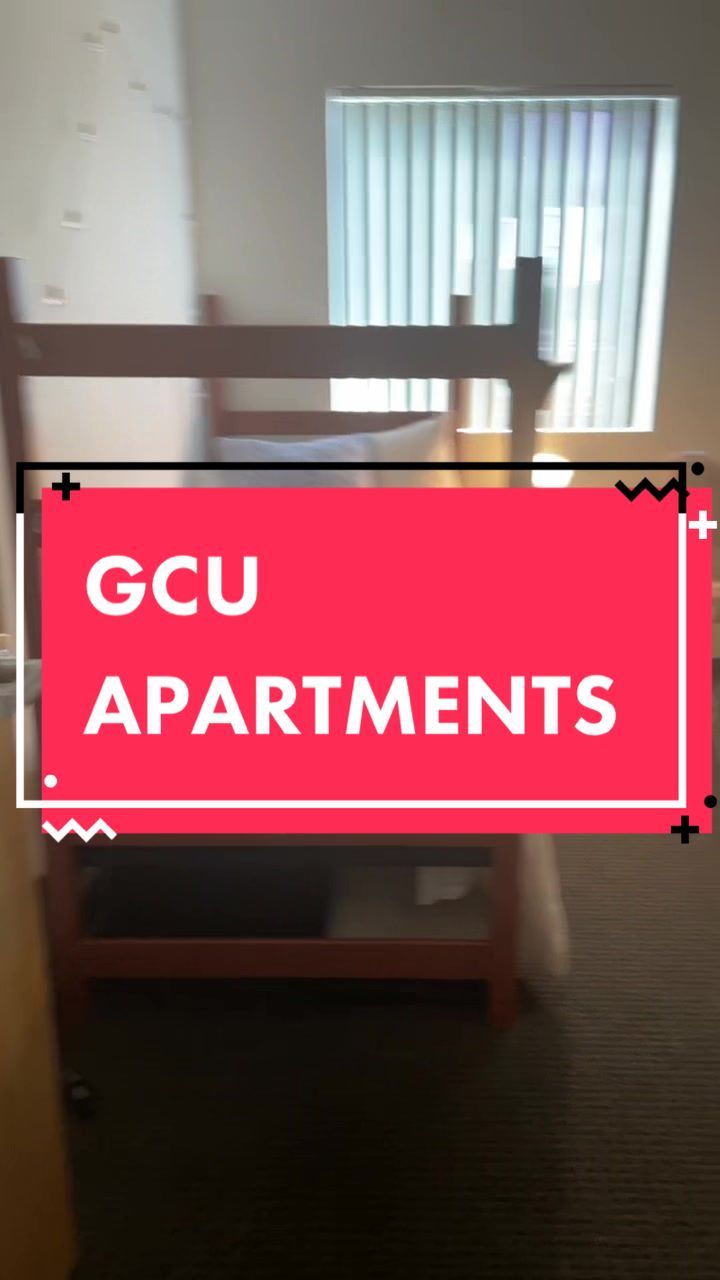 Video post by @shanecmaguire on TikTok