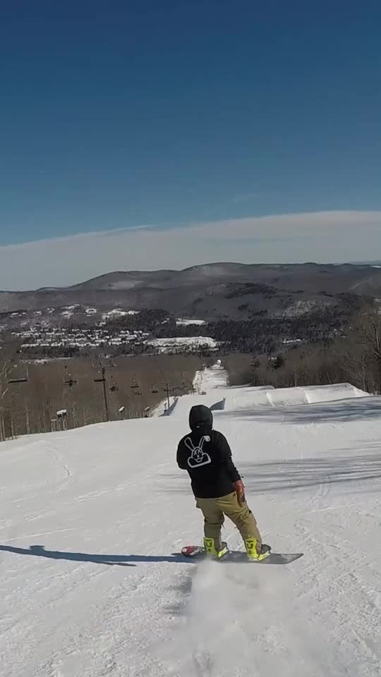 Video post by @snow.bunnyz on TikTok