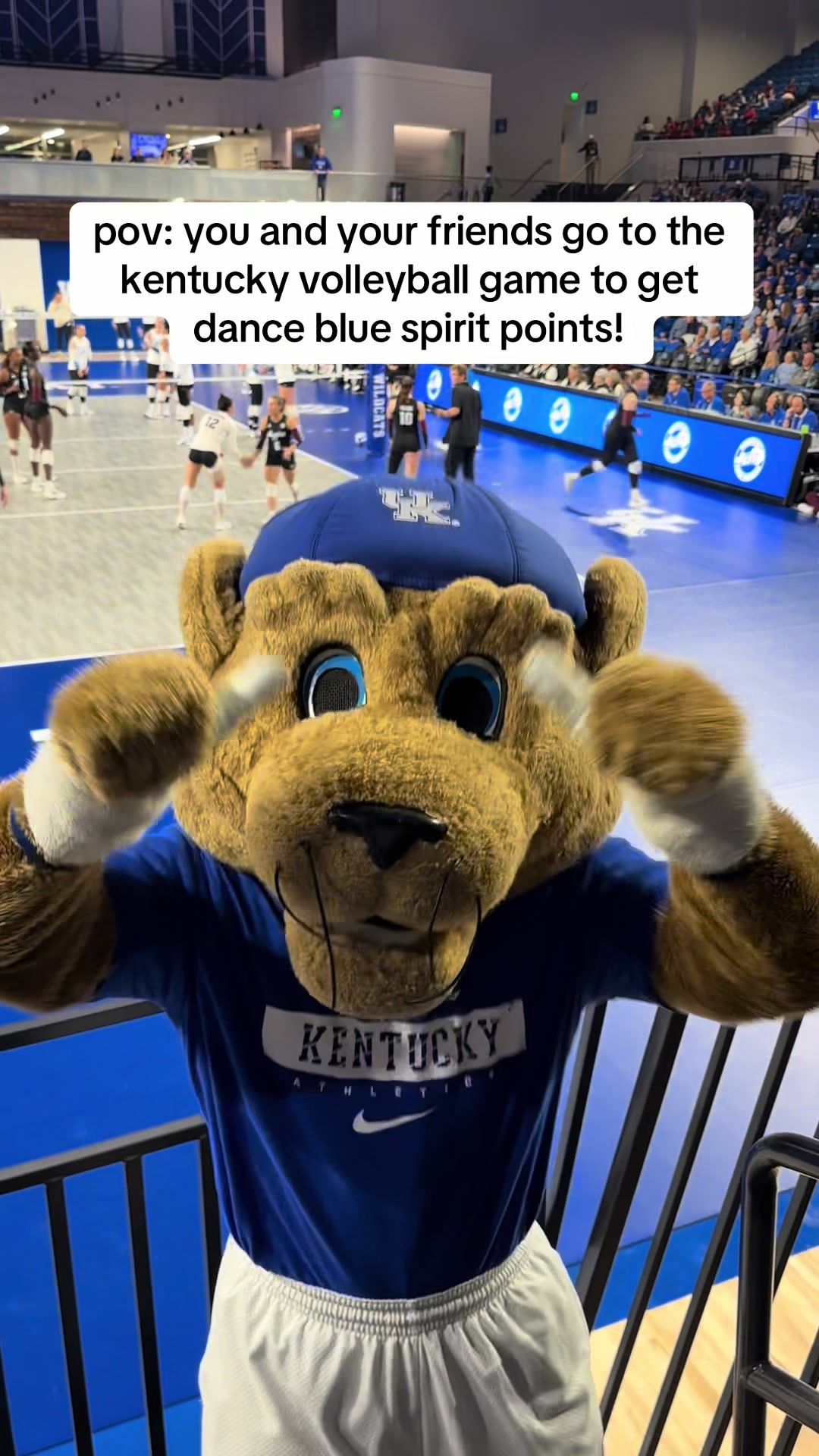 Video post by @_teamwildcat on TikTok