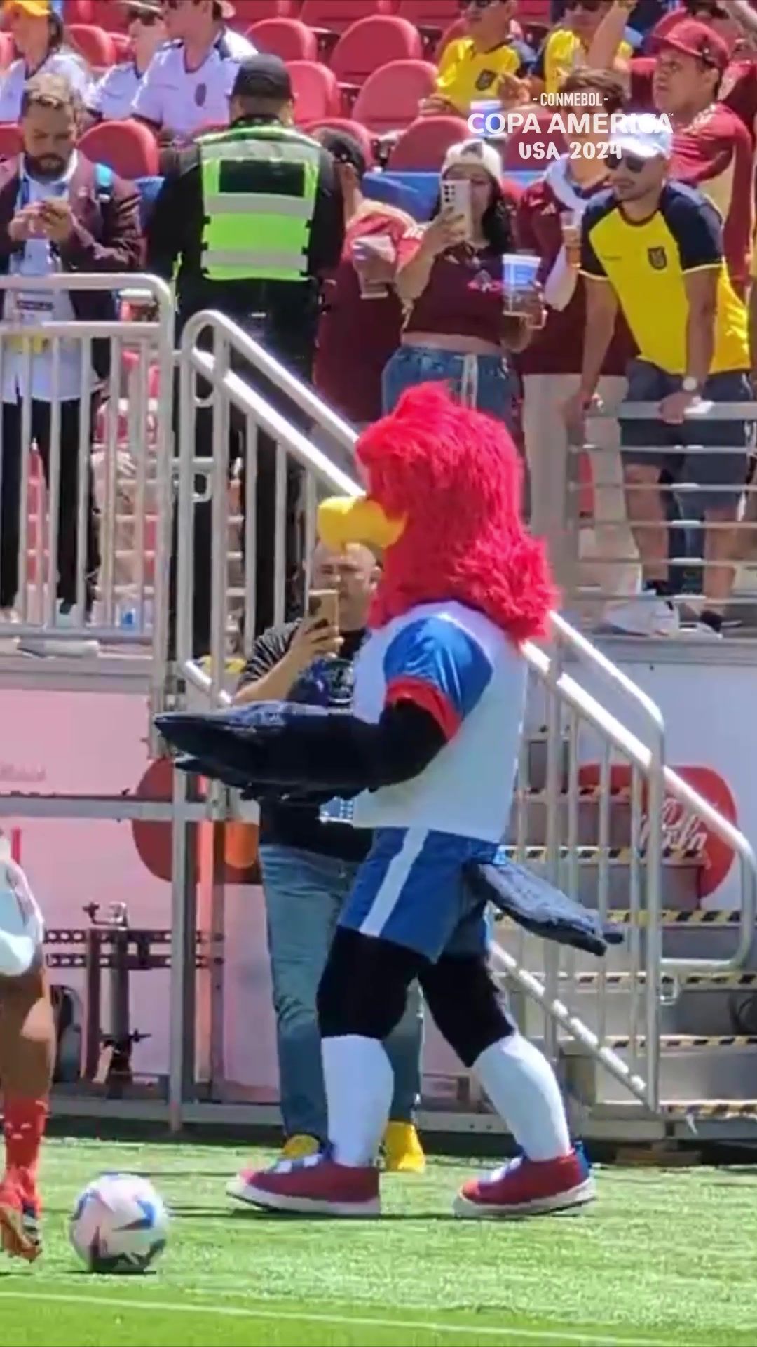 Video post by @copaamericaeng on TikTok