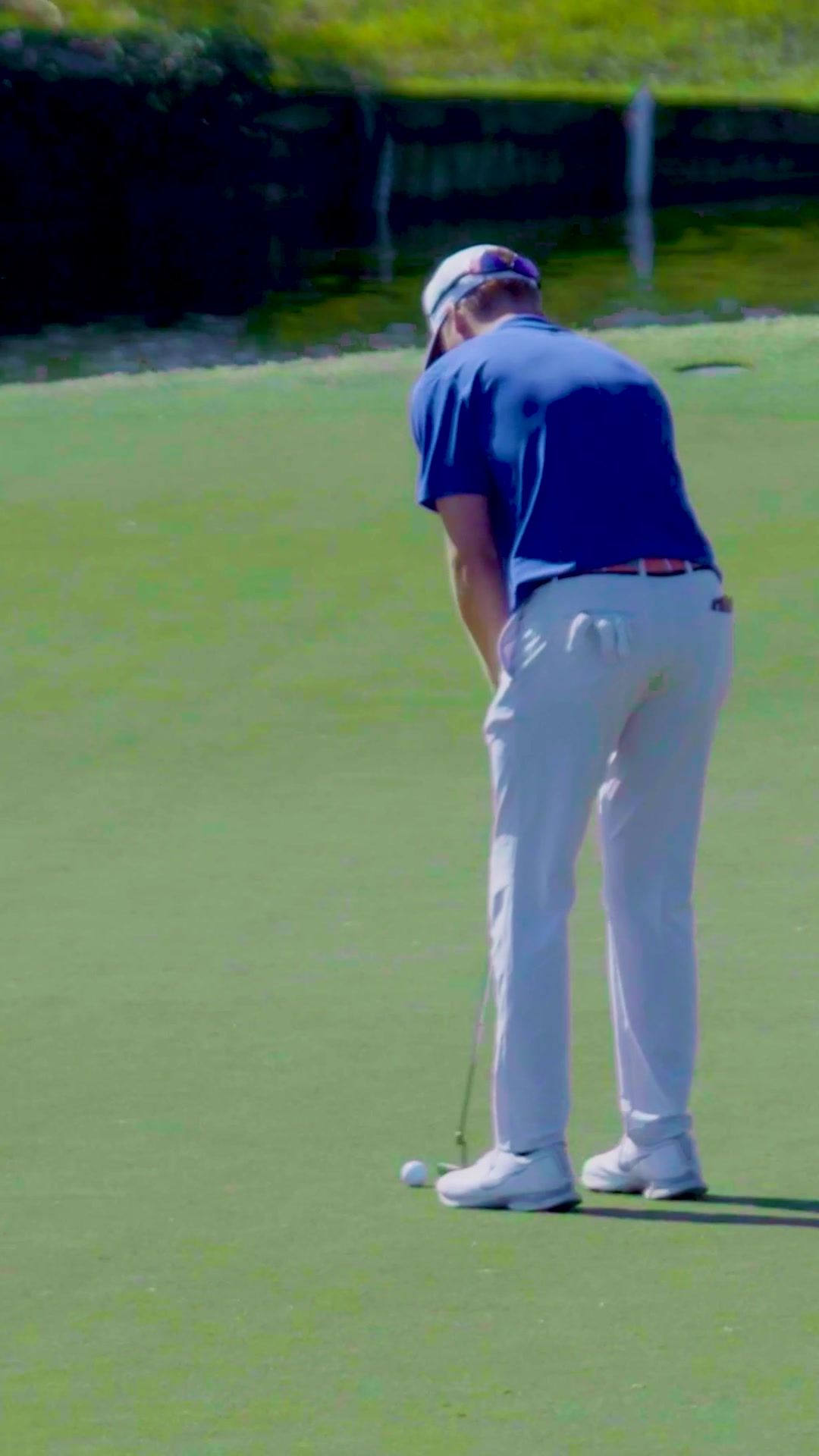 Video post by @floridagators on TikTok