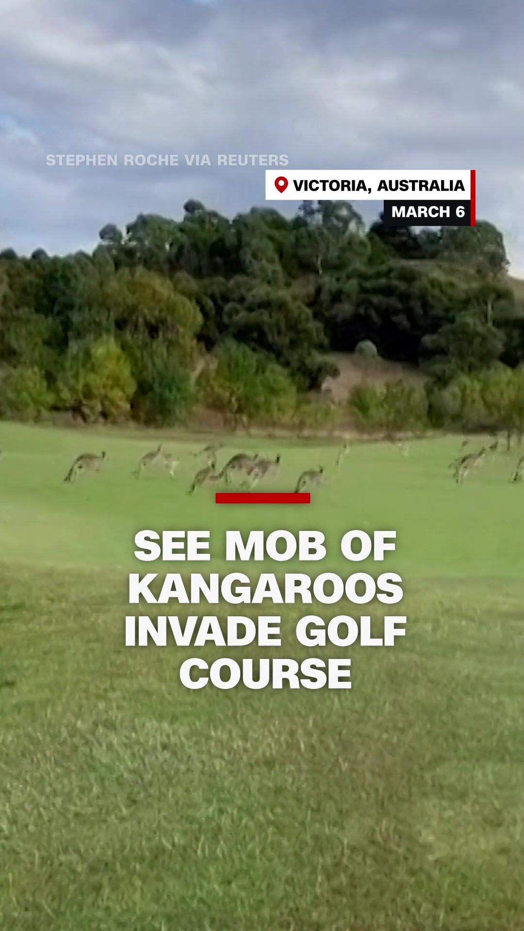 Video post by @cnn on TikTok